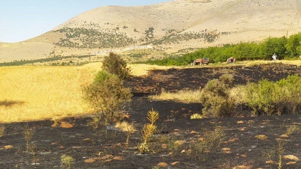 Doğanşehir’de anız yangını