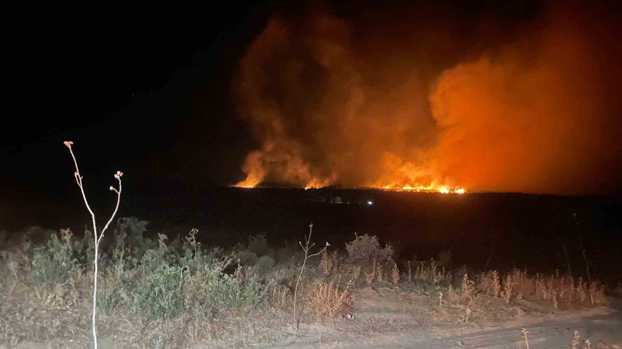 Lice’de gece başlayan orman yangını söndürüldü