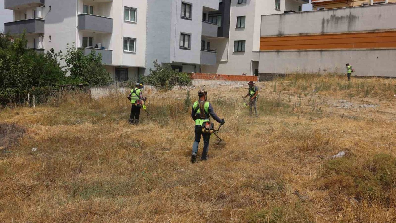 Çayırova’da yabani otlar temizleniyor