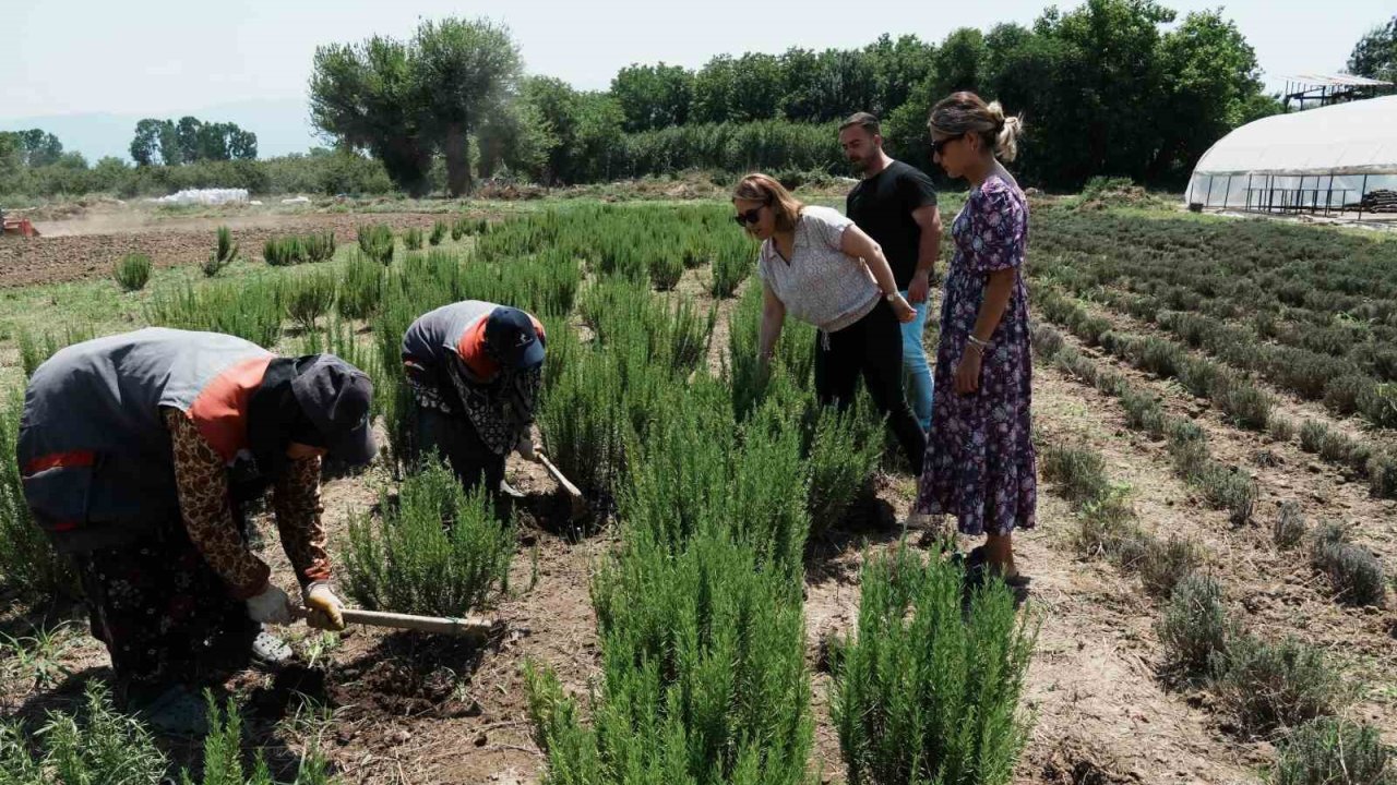 Düzce tarımda atılıma geçiyor