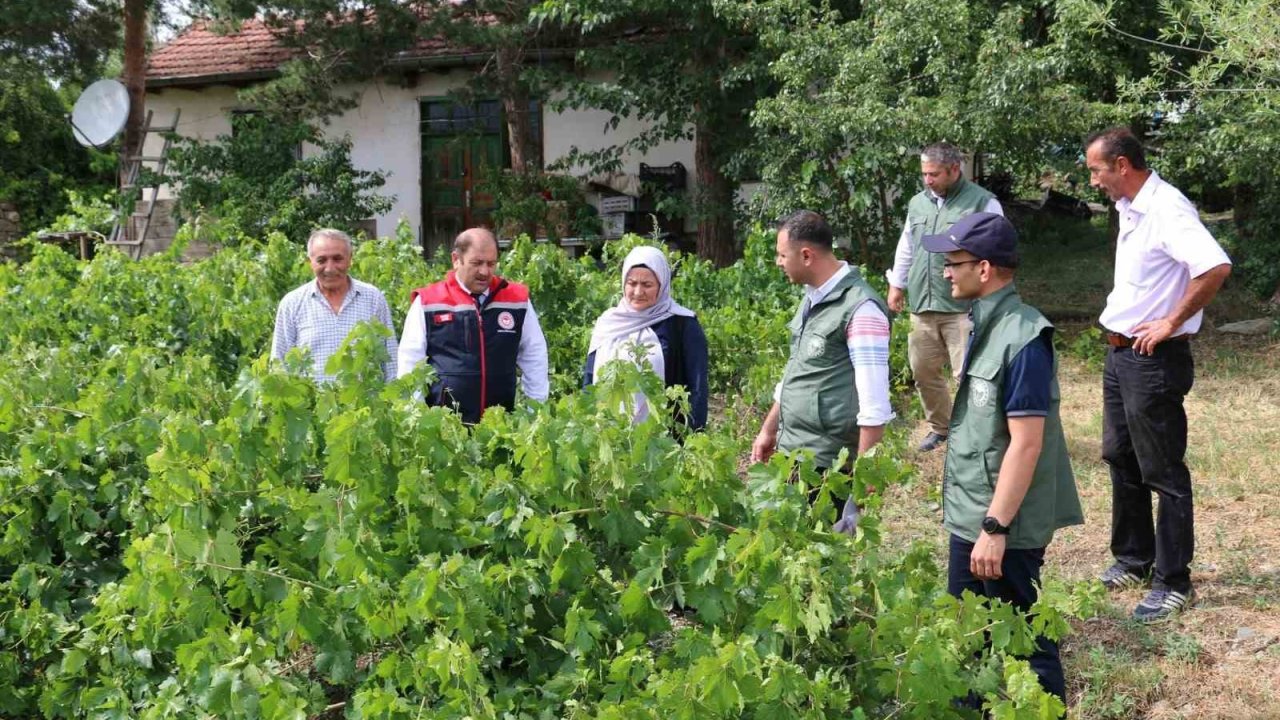 Üzümlü’ de dolu zarar verdi