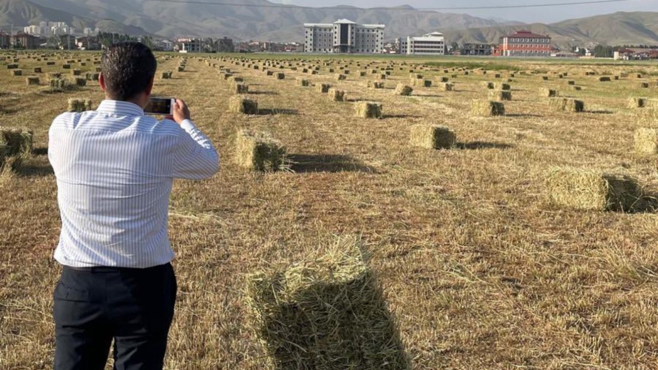 Yüksekova’da yağışlar tarımda verimliliği artırdı