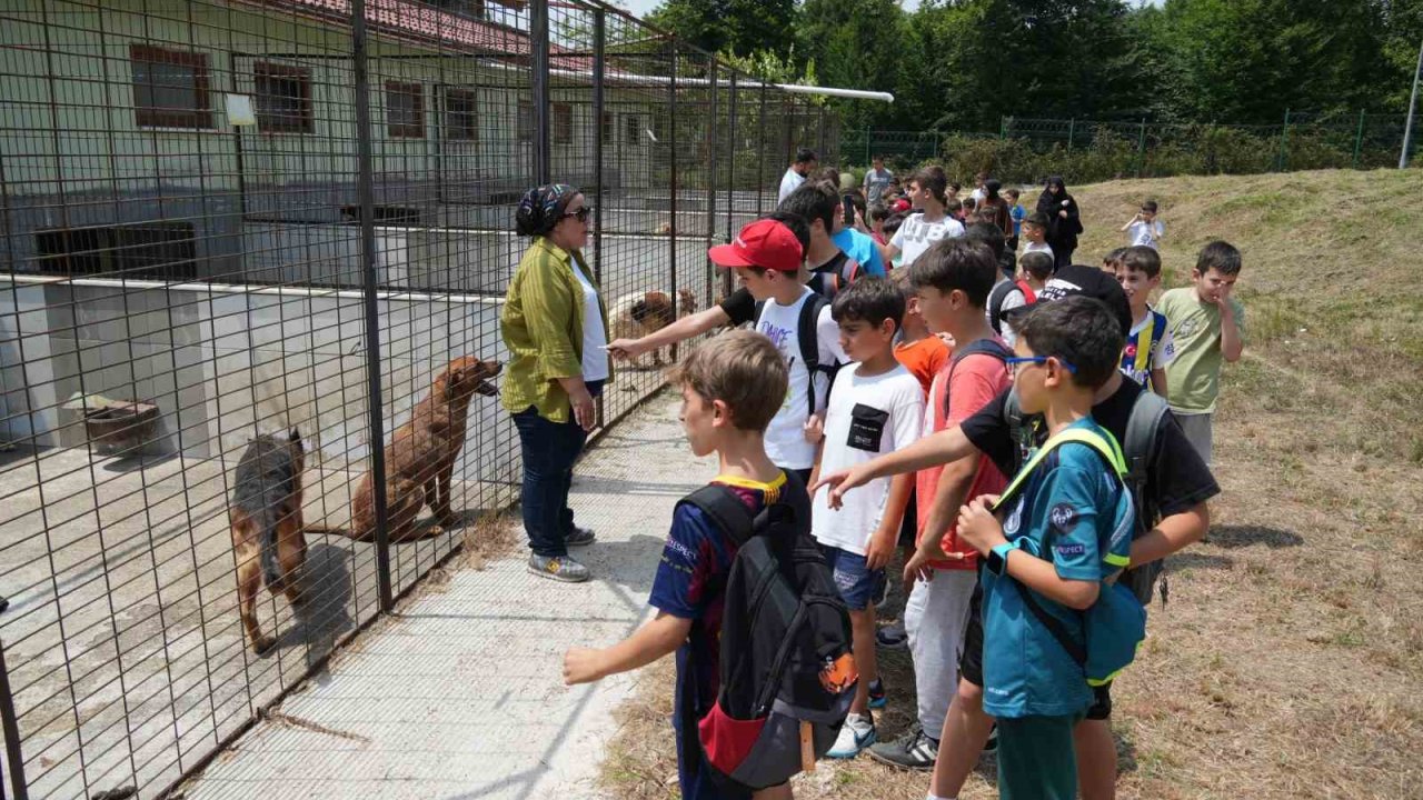 Öğrencilerden can dostlara ziyaret