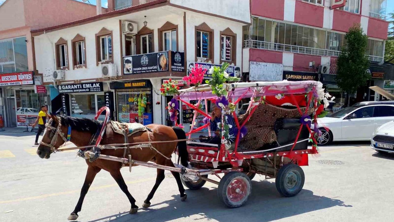 Nostaljik at arabasıyla düğün ve sünnetlerde gezi keyfi ilgi görüyor