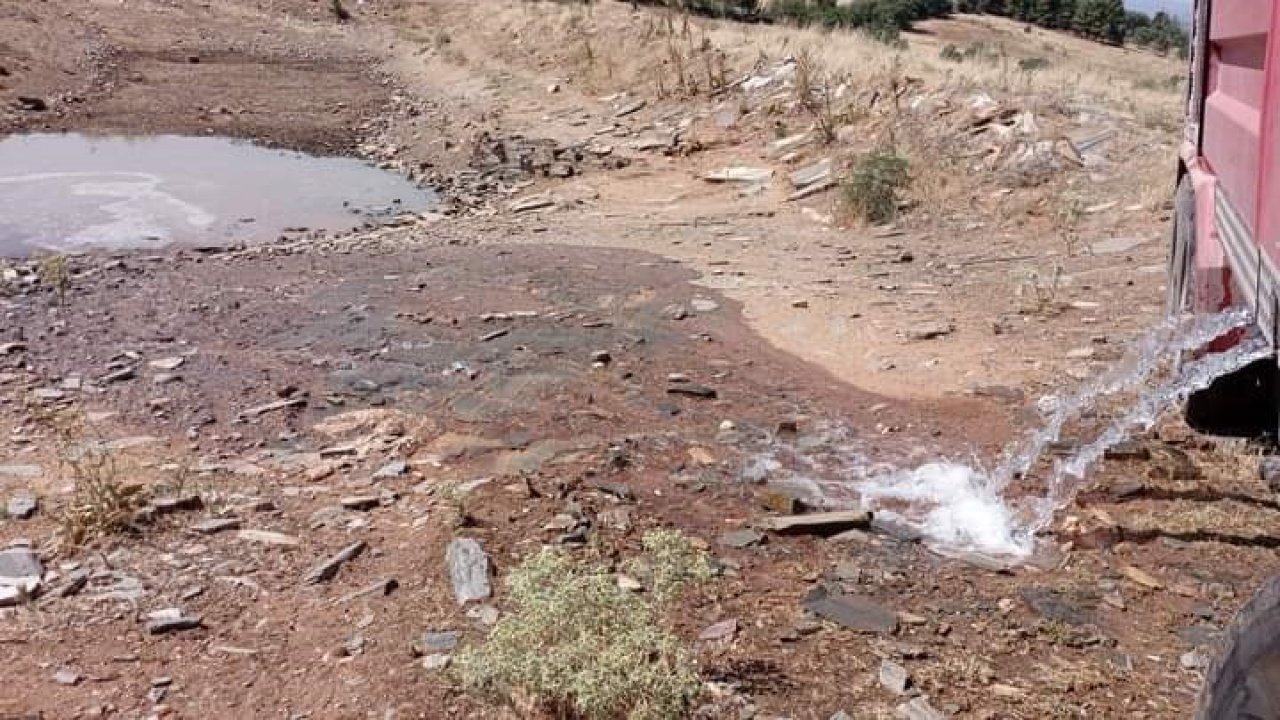 Bekilli’de vahşi hayvanlar için göletlere su takviyesi yapıldı