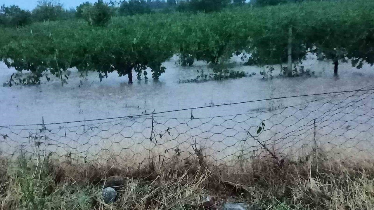 Hasada gün sayan üzüm bağlarını dolu vurdu