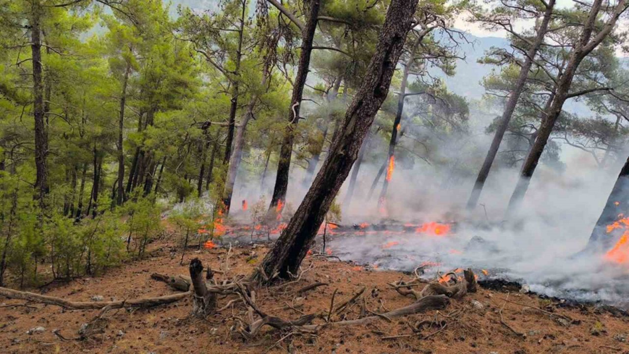 Cehennem Deresi yanıyordu, orman ve itfaiyeciler kurtardı