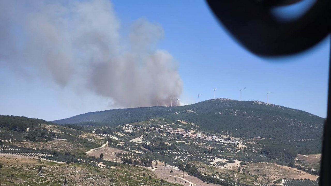 Soma’da orman yangını