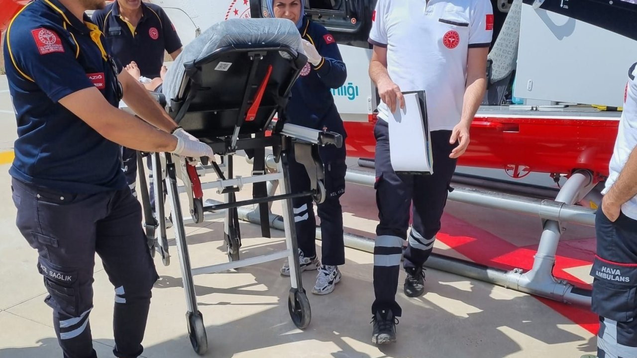 Yılanın soktuğu çocuk, Elazığ’da tedavi altına alındı