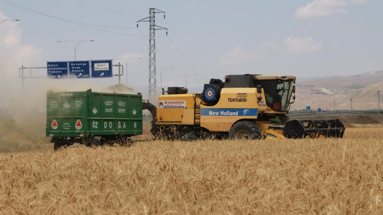 Erzincan’da hububat tarlalarında hasat başladı