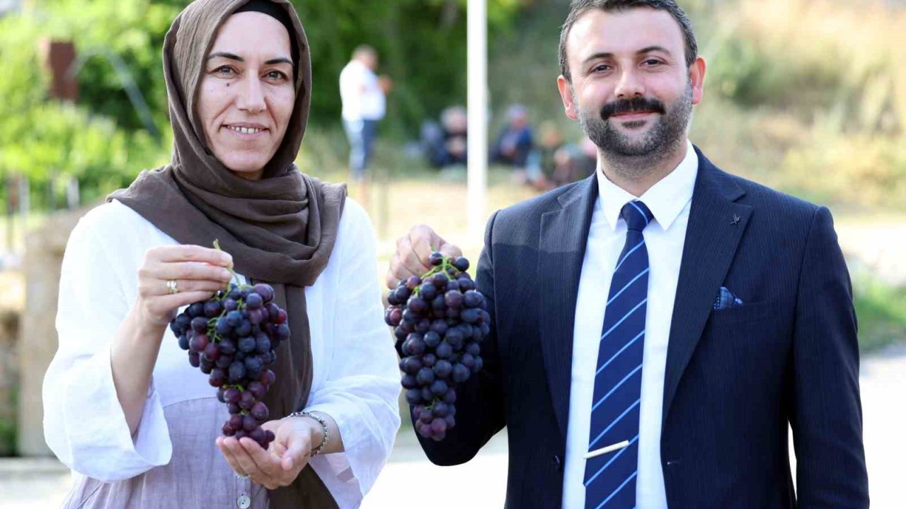 Akdeniz Belediyesi’nden Esenli Üzüm Şenliği’ne davet