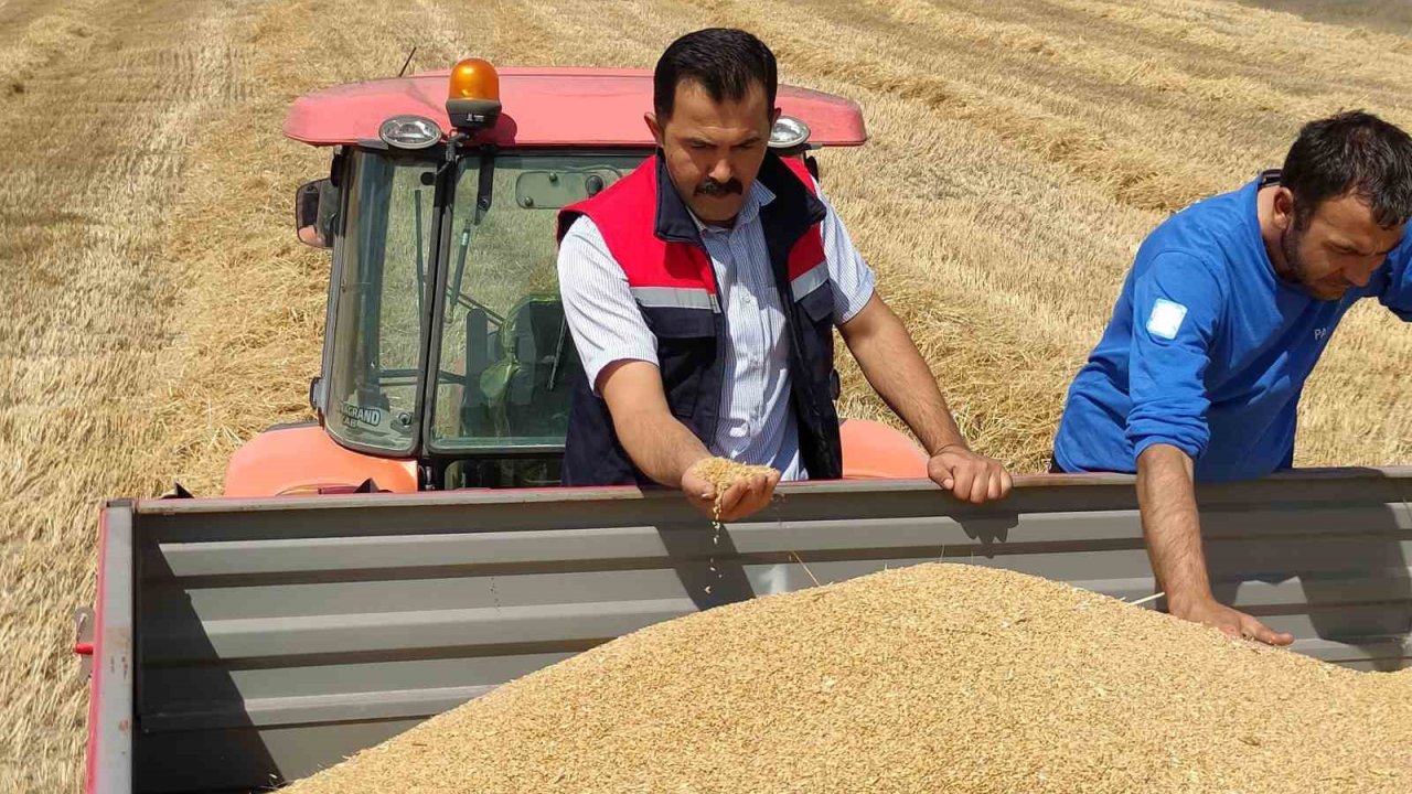 Bozüyük’te biçerdöver denetimi ve hasat yapılan hububat tarlalarında kontroller