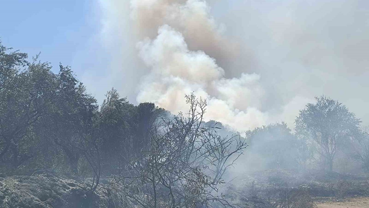 Turgutlu’da orman yangını evlere sıçradı