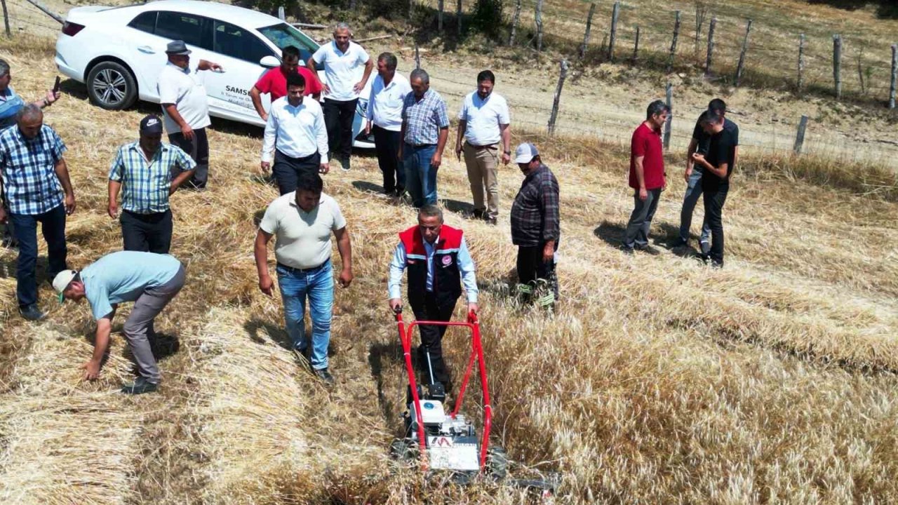 Samsun’da organik buğday hasadı ve hasat makinesi dağıtımı