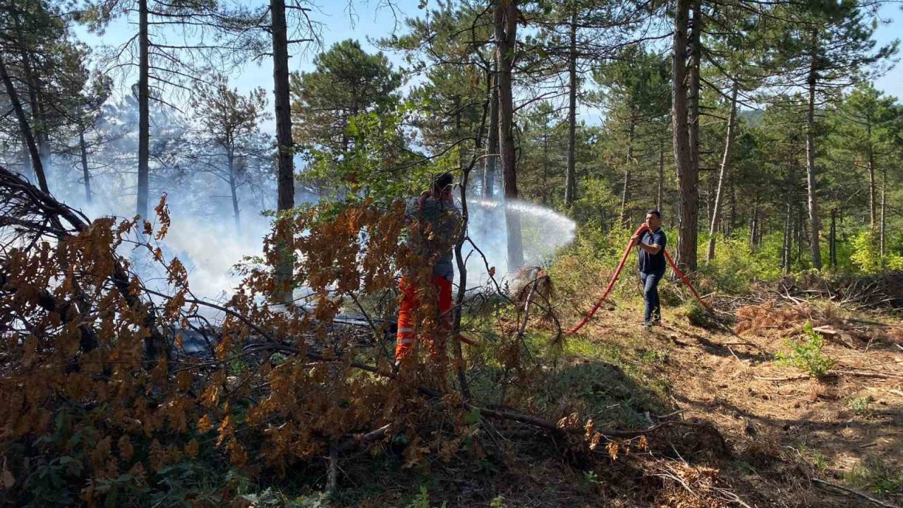 Bilecik’te dün başlayan orman yangınında 4 dekar alan kül oldu