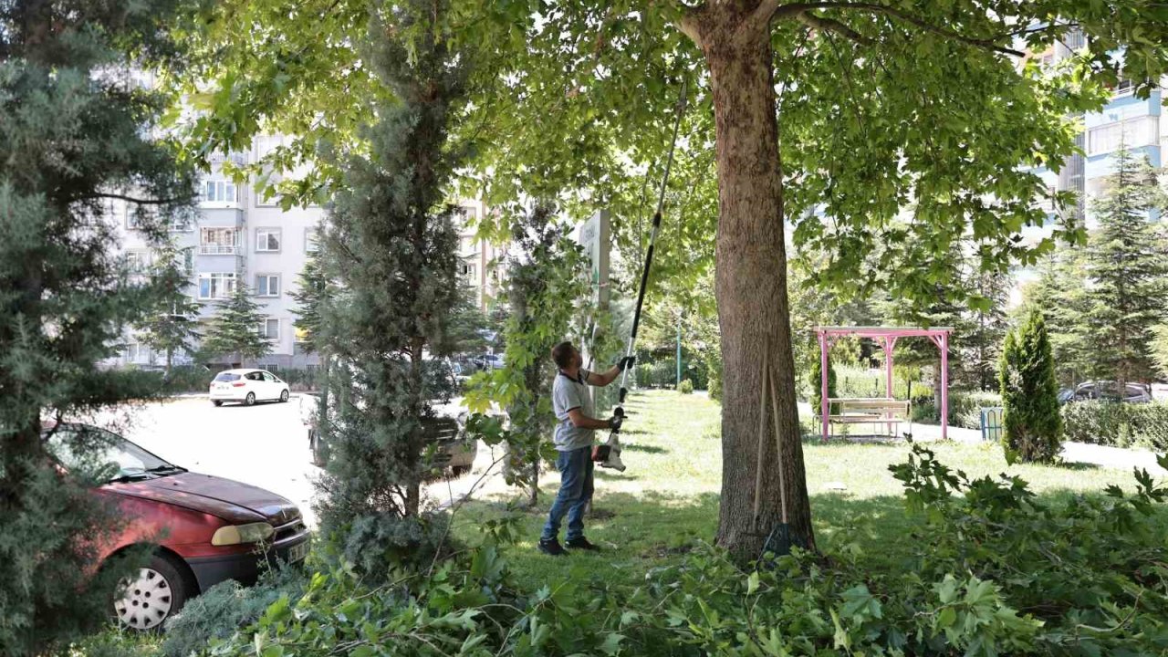 Talas’ta park ve bahçelere yaz bakımı