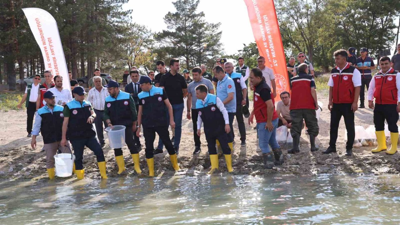 Damsa Barajı’na 350 bin yavru balık bırakıldı