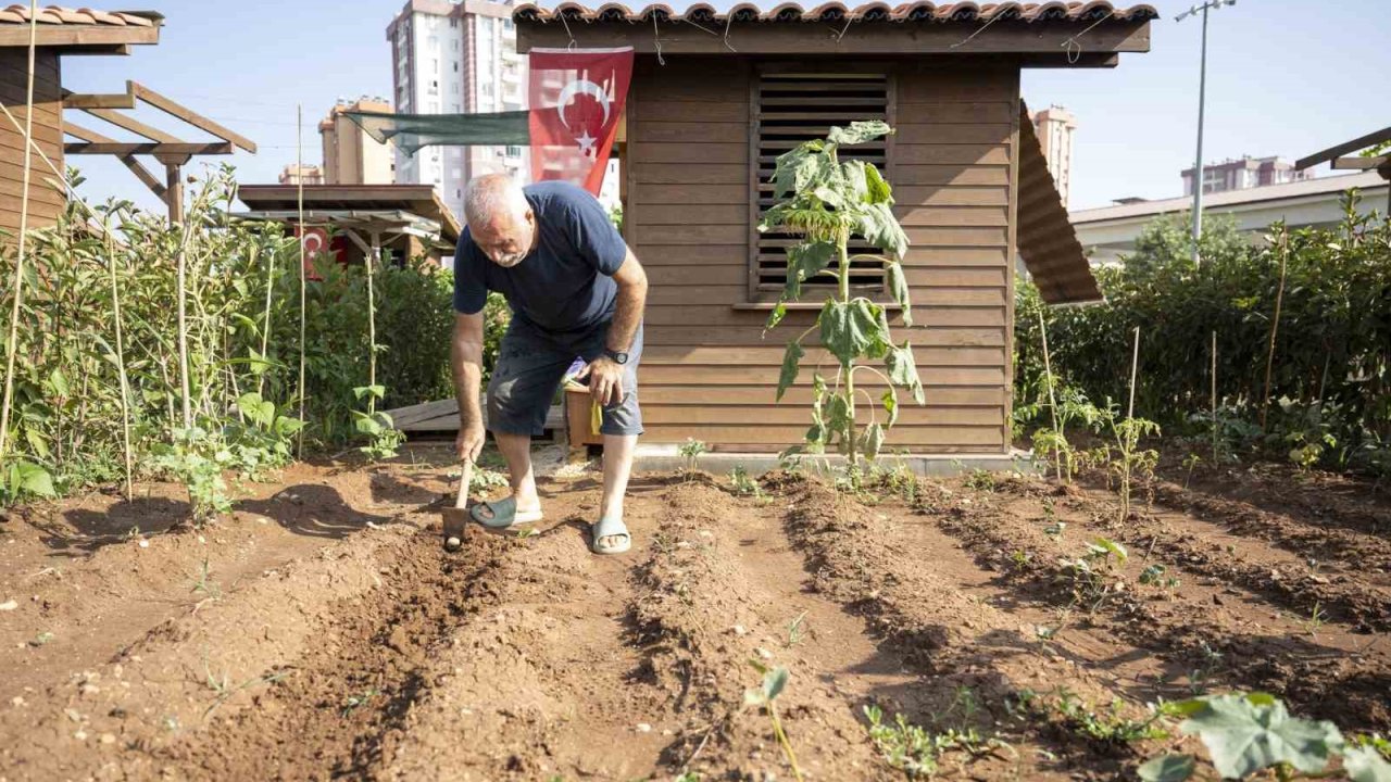 Hobi Parkı, Mersinlilerin uğrak yeri oldu