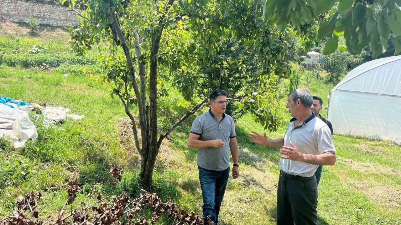 Endemik bir tür olan Kaleardı eriğinde hastalık ve zararlılara karşı kontroller yapıldı