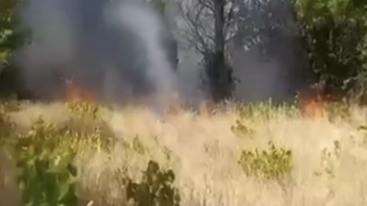 Elazığ’da örtü ve bahçe yangını