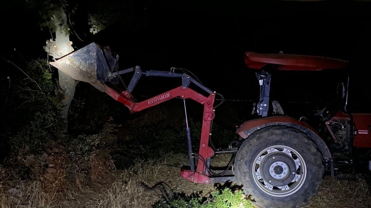 Ağaçtan düşen eski muhtar hayatını kaybetti