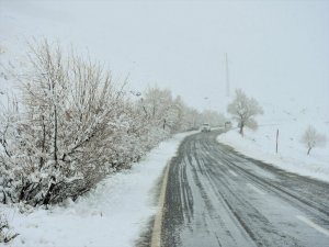 Muş'ta kar yağışı