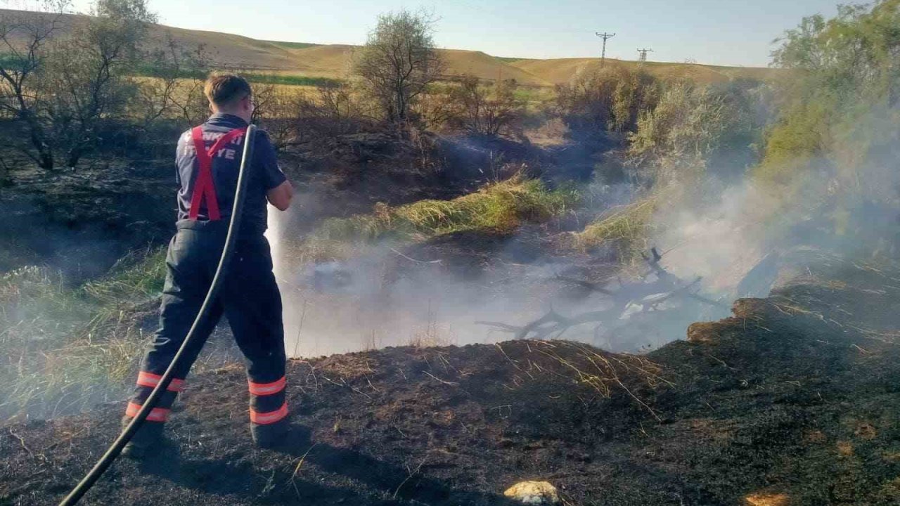 Çankırı’da arazi yangını