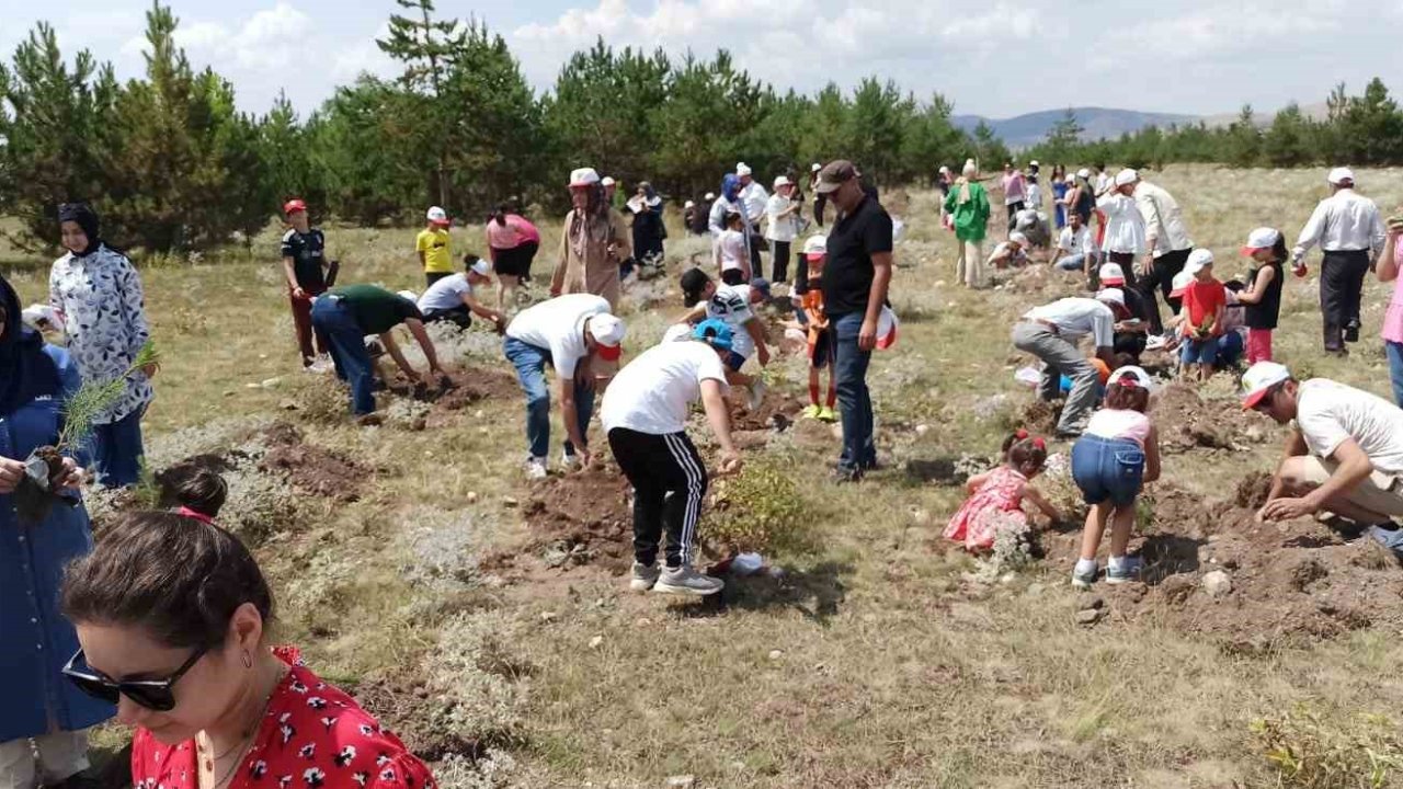 Vatandaşlar hem fidan dikti hem de eğlendi