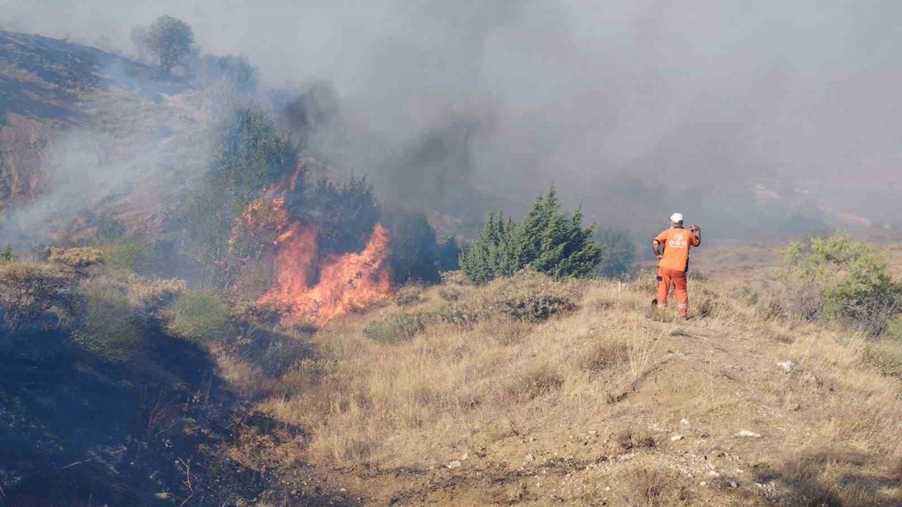 Bingöl’de çıkan orman yangını söndürüldü