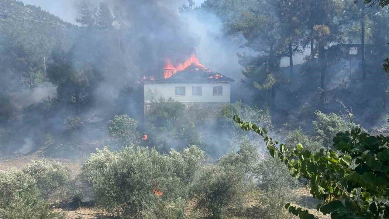 Köyceğiz’deki yangın kontrol altına alındı