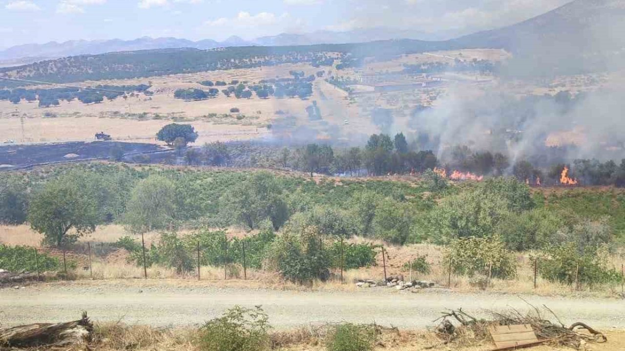 Kulp’ta üzüm bağları ve meyve ağaçları yangında zarar gördü