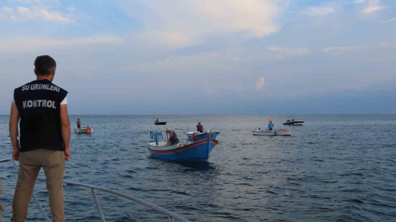 Trabzon’da palamut denetimi