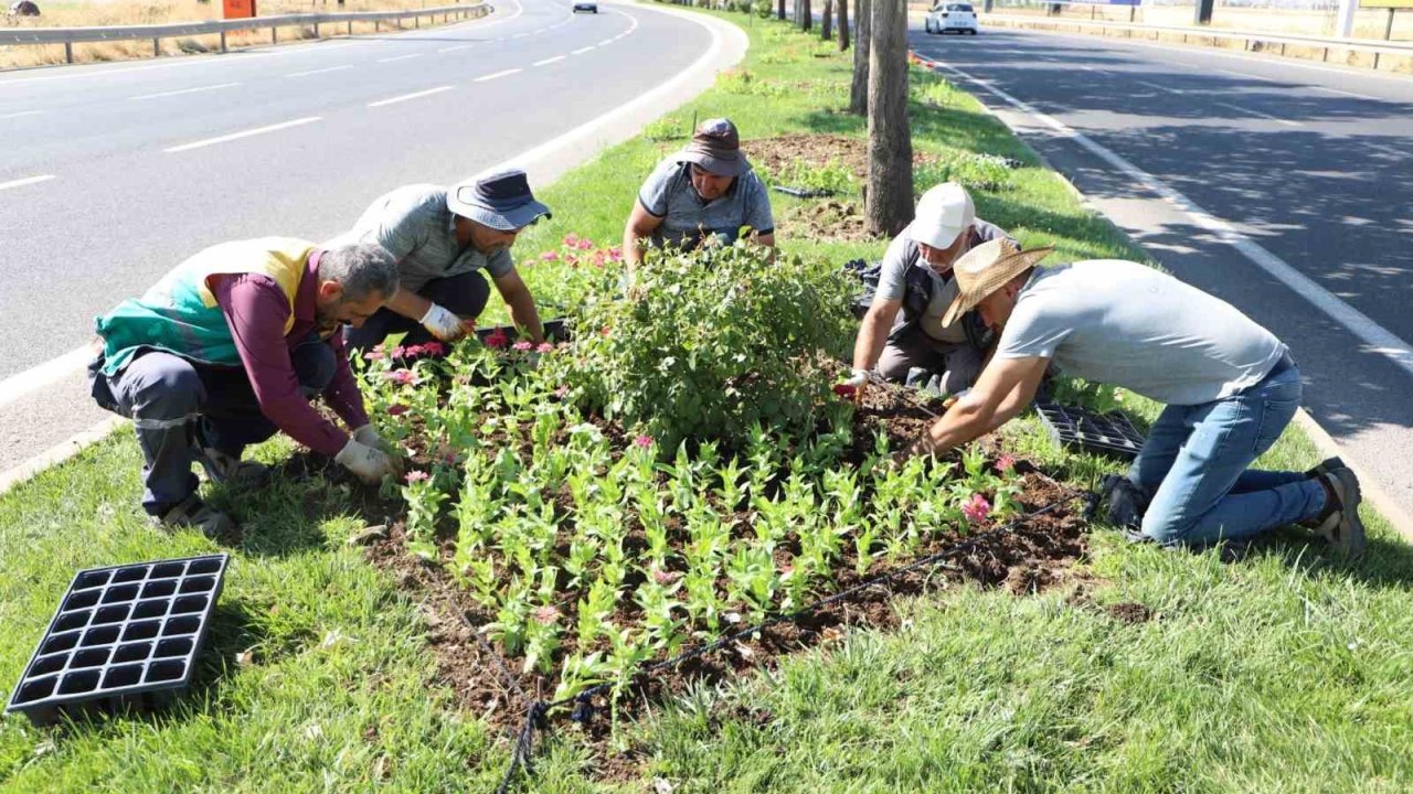 Diyarbakır’da 32 bin mevsimlik çiçek refüj ve kavşaklara dikildi