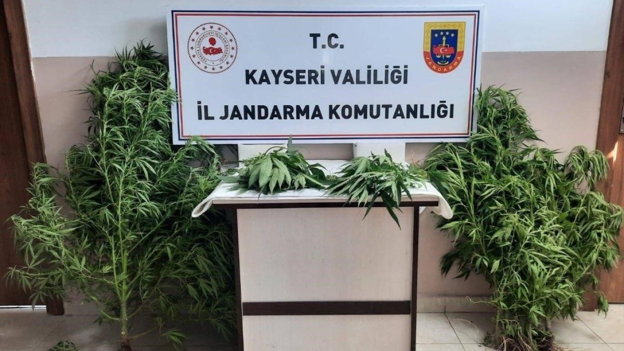 Jandarma Kayseri’de uyuşturucuya geçit vermiyor