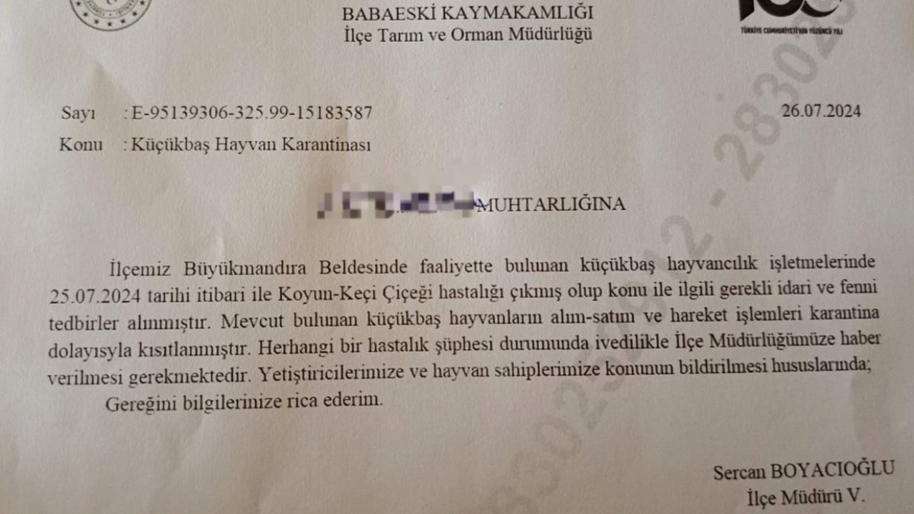 Babaeski’de küçükbaş hayvanlarda çiçek hastalığına rastlandı