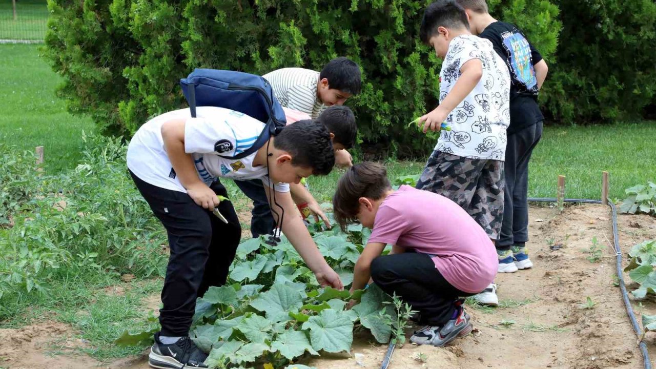 Karatay tabiat mektebi yaz dönemi eğitimleri sürüyor