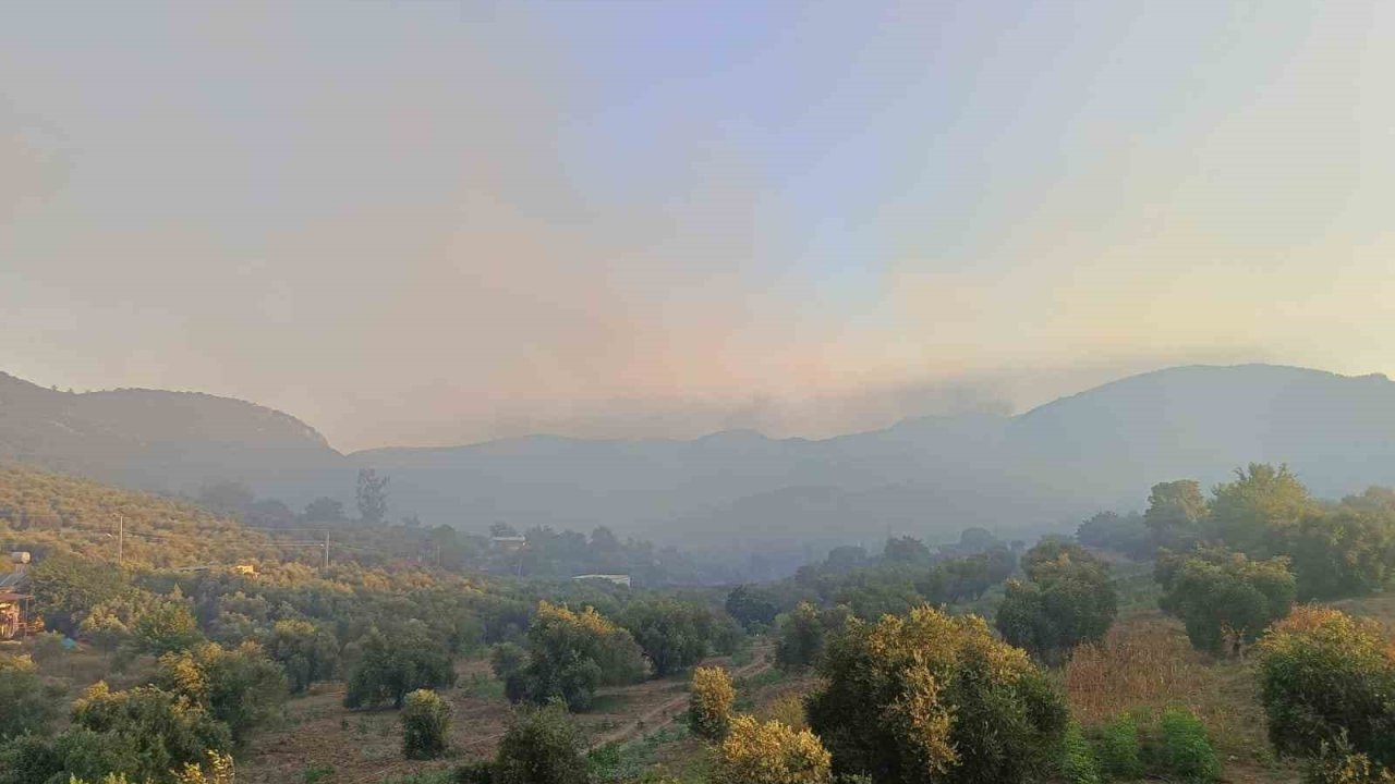 Adana Kozan’da orman yangını