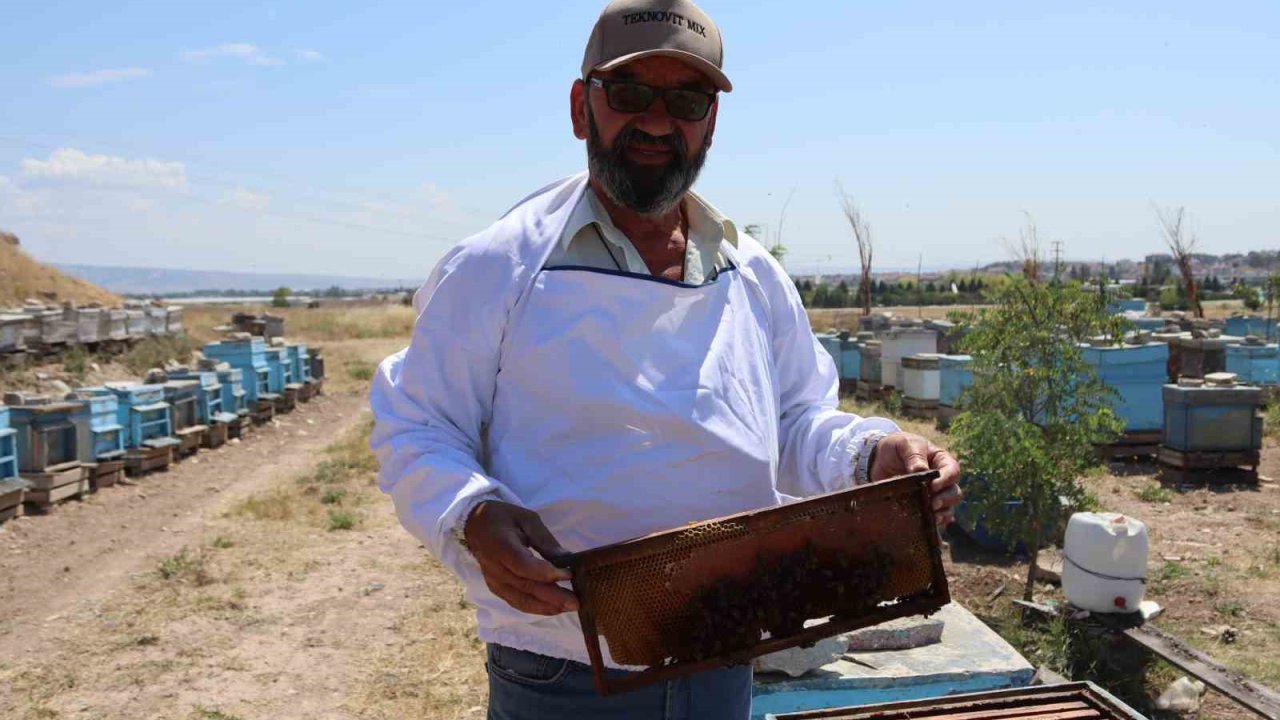 Eskişehirli arıcılar daha fazla destek bekliyor