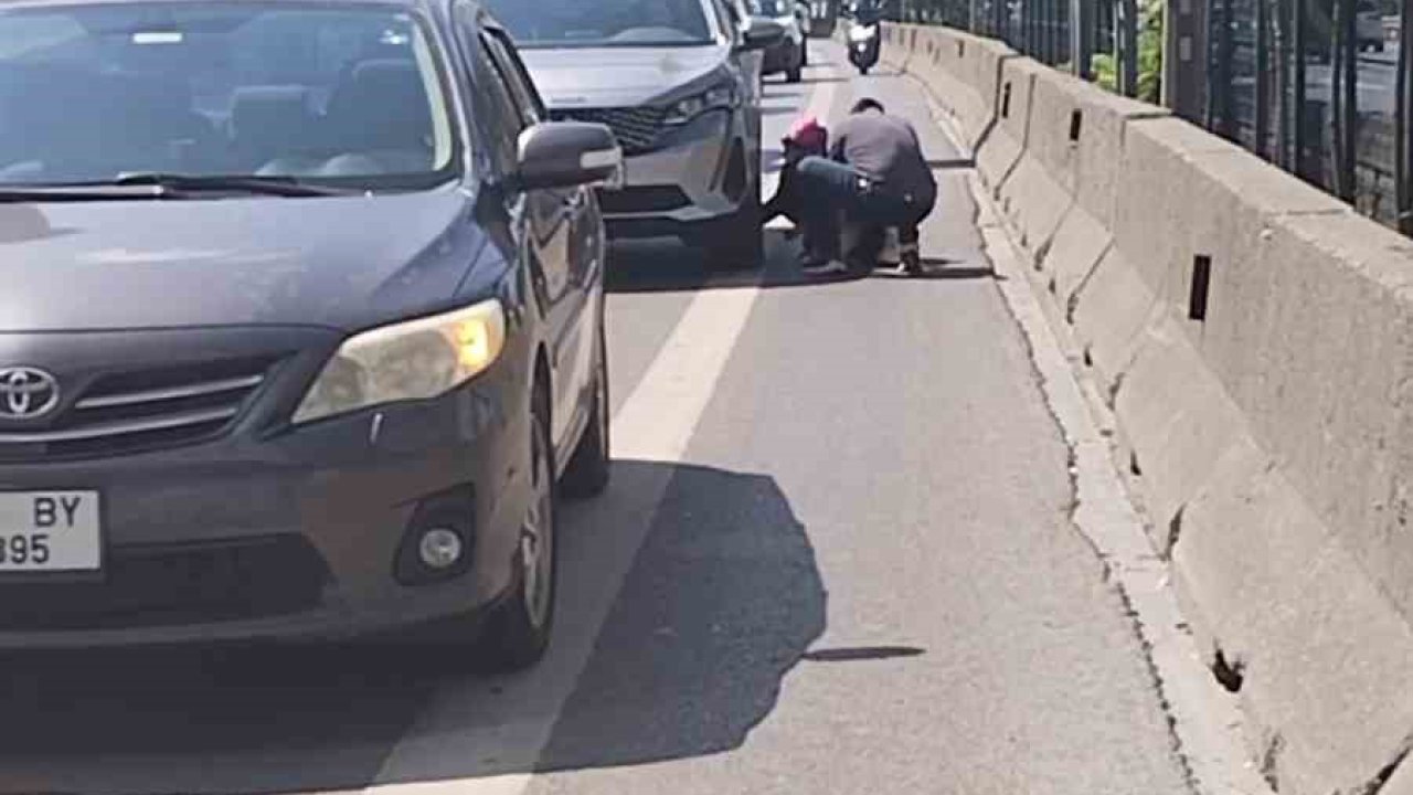 Kadıköy D-100 karayolunda yavru kediyi kurtaran duyarlı vatandaş kamerada