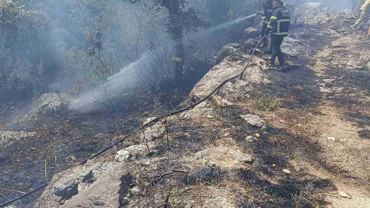 Yayladağı’nda orman yangını