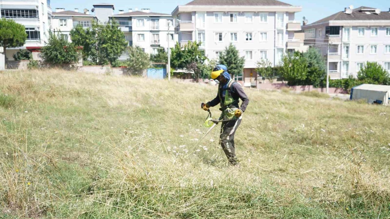 Çayırova’da yabani ot temizliği sürüyor