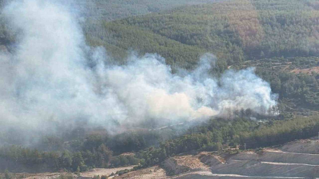 Milas’ta orman yangını