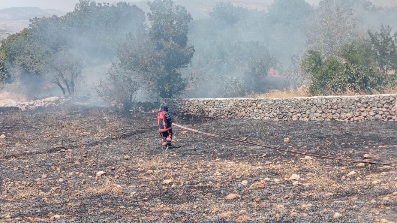 Şırnak’ta örtü yangını