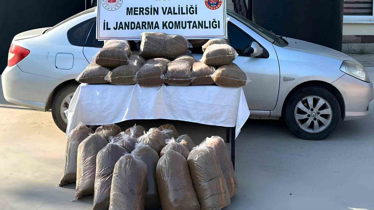 Mersin’de 310 kilo kaçak tütün ele geçirildi