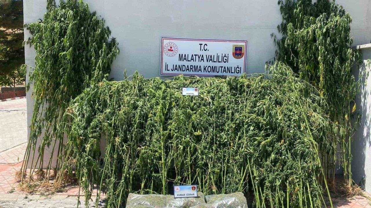 Malatya’da uyuşturucu operasyonu