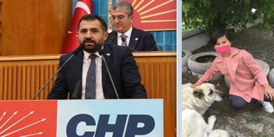 CHP Kars İl Başkanı Uludaşdemir’den Tepki