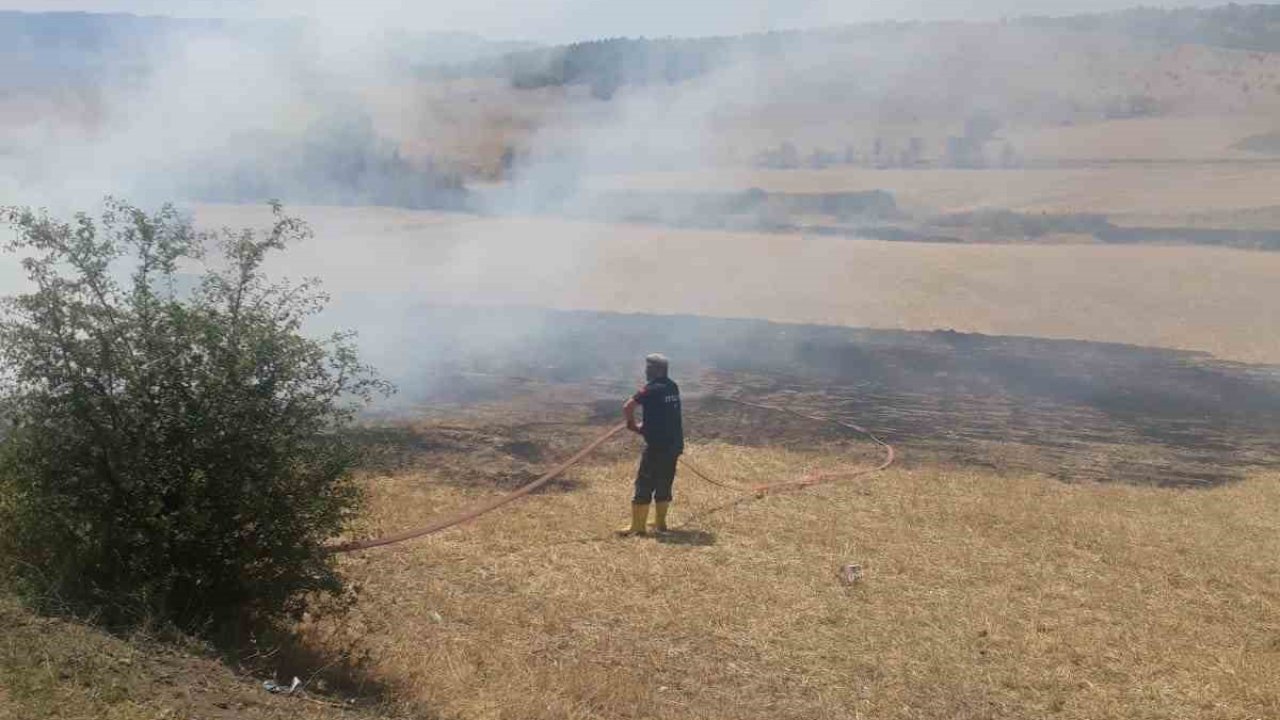 Kastamonu’da çıkan arazi yangınında 2 dekar alan zarar gördü