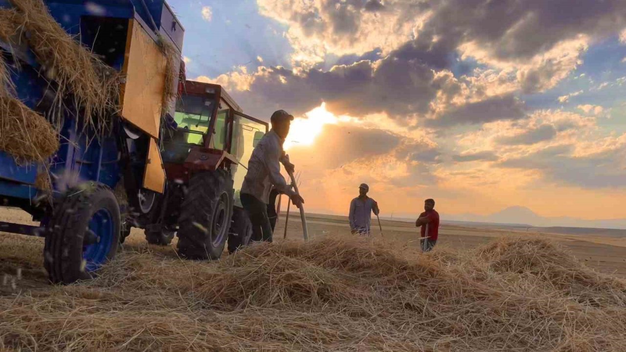 Ağrı’da çiftçiler sıcak havada hasada devam ediyor