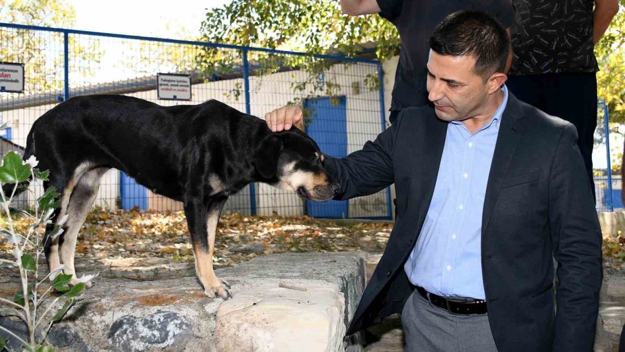 Başkan Günel: “Şartlar ne olursa olsun can dostlarımızı yaşatacağız”