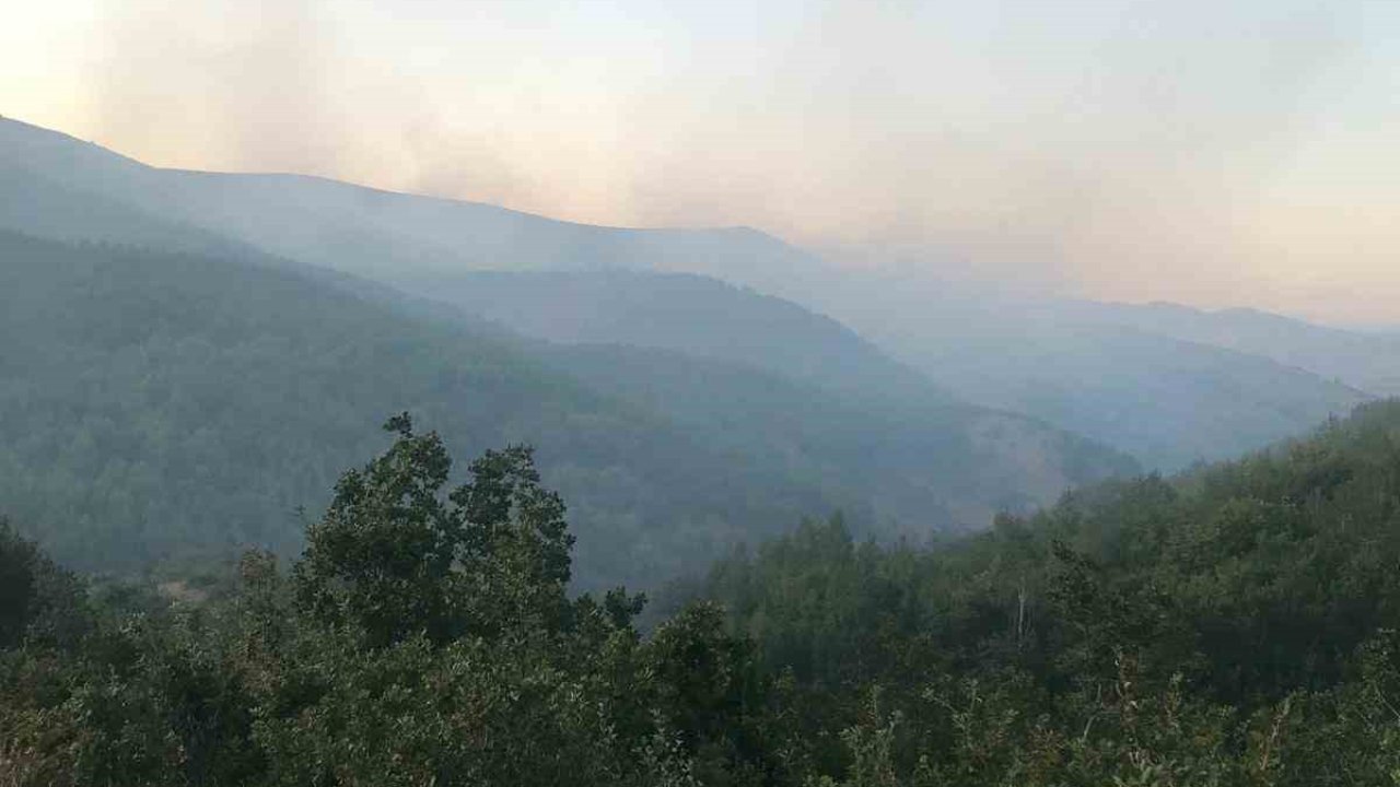 Orman yangınına müdahale eden operatör hayatını kaybetti